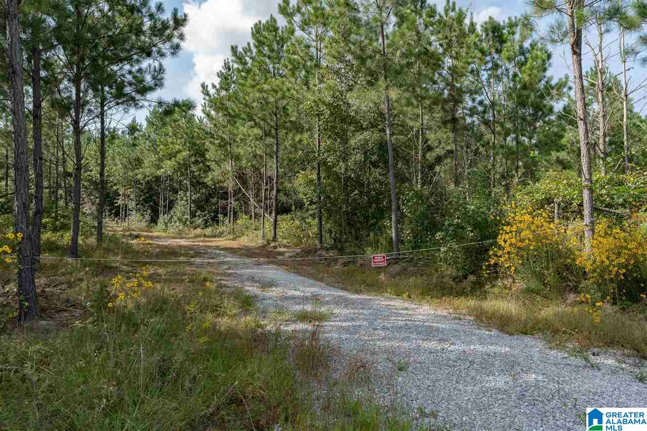 8967 Highway 55, Unit 2 & 3 Sterrett, AL 35147 - Photo 7 of 23