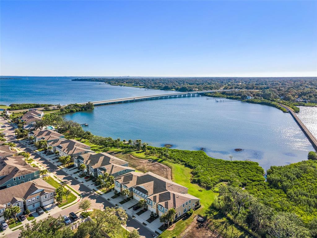 9009 Palm Key Avenue Oldsmar, FL 34677 - Photo 43 of 43