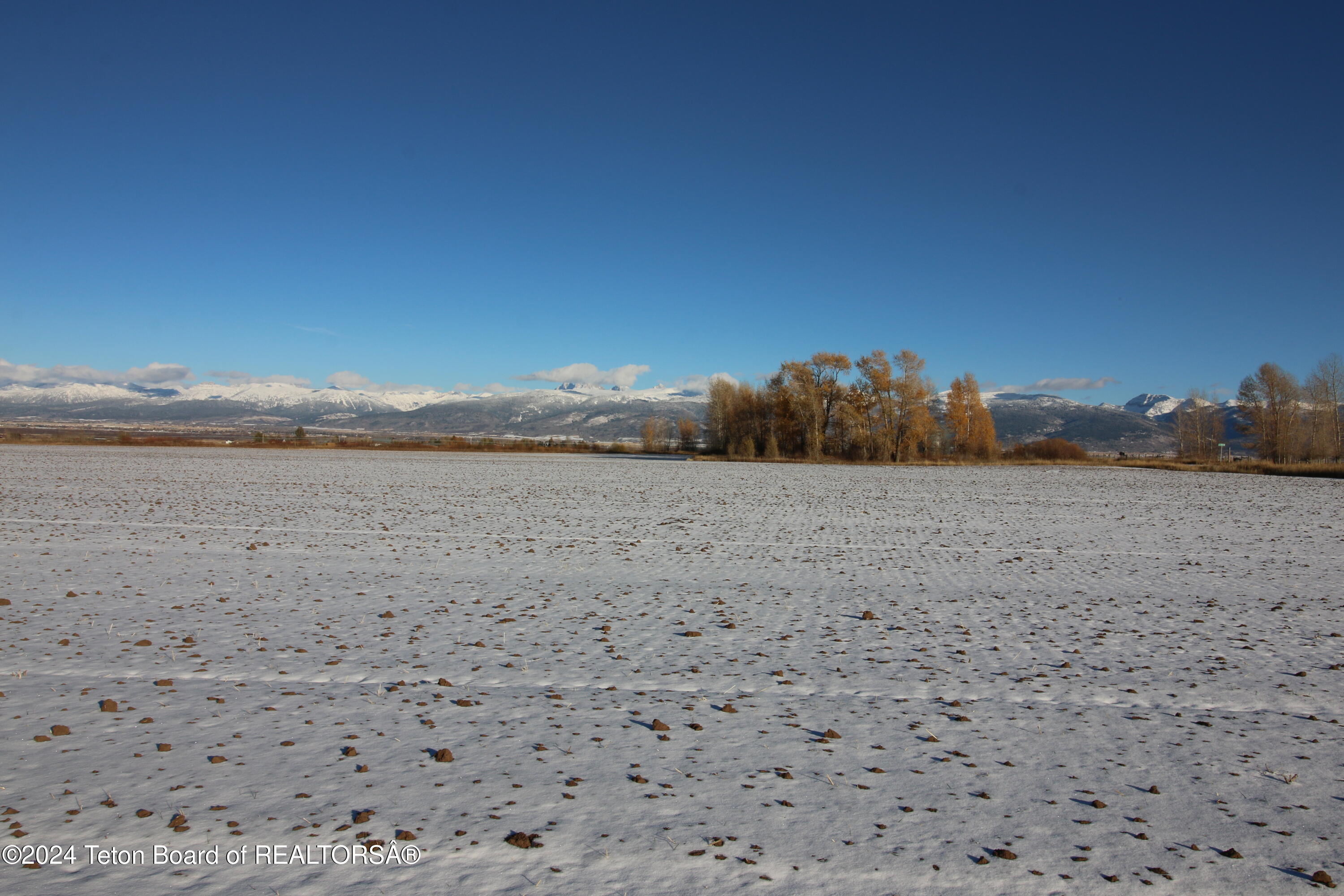 5000 South 5000 West Driggs, ID 83422 - Photo 11 of 23 IMG_3364