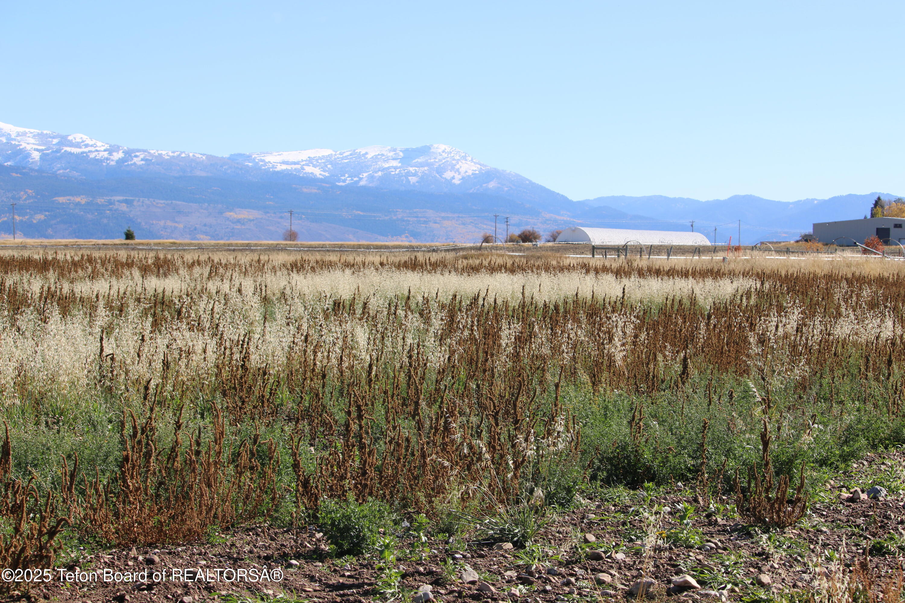 5000 South 5000 West Driggs, ID 83422 - Photo 16 of 23 IMG_3709