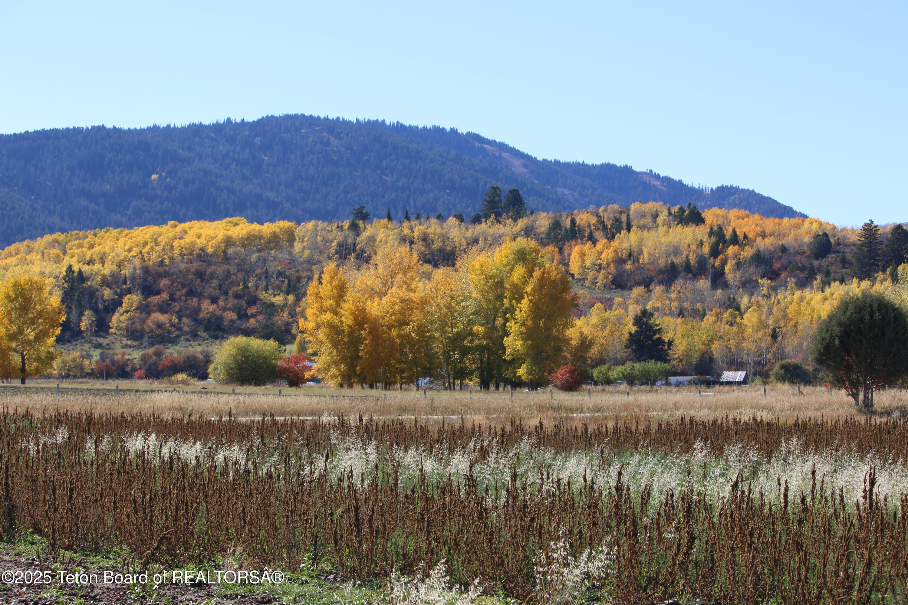 5000 South 5000 West Driggs, ID 83422 - Photo 17 of 23 IMG_3713