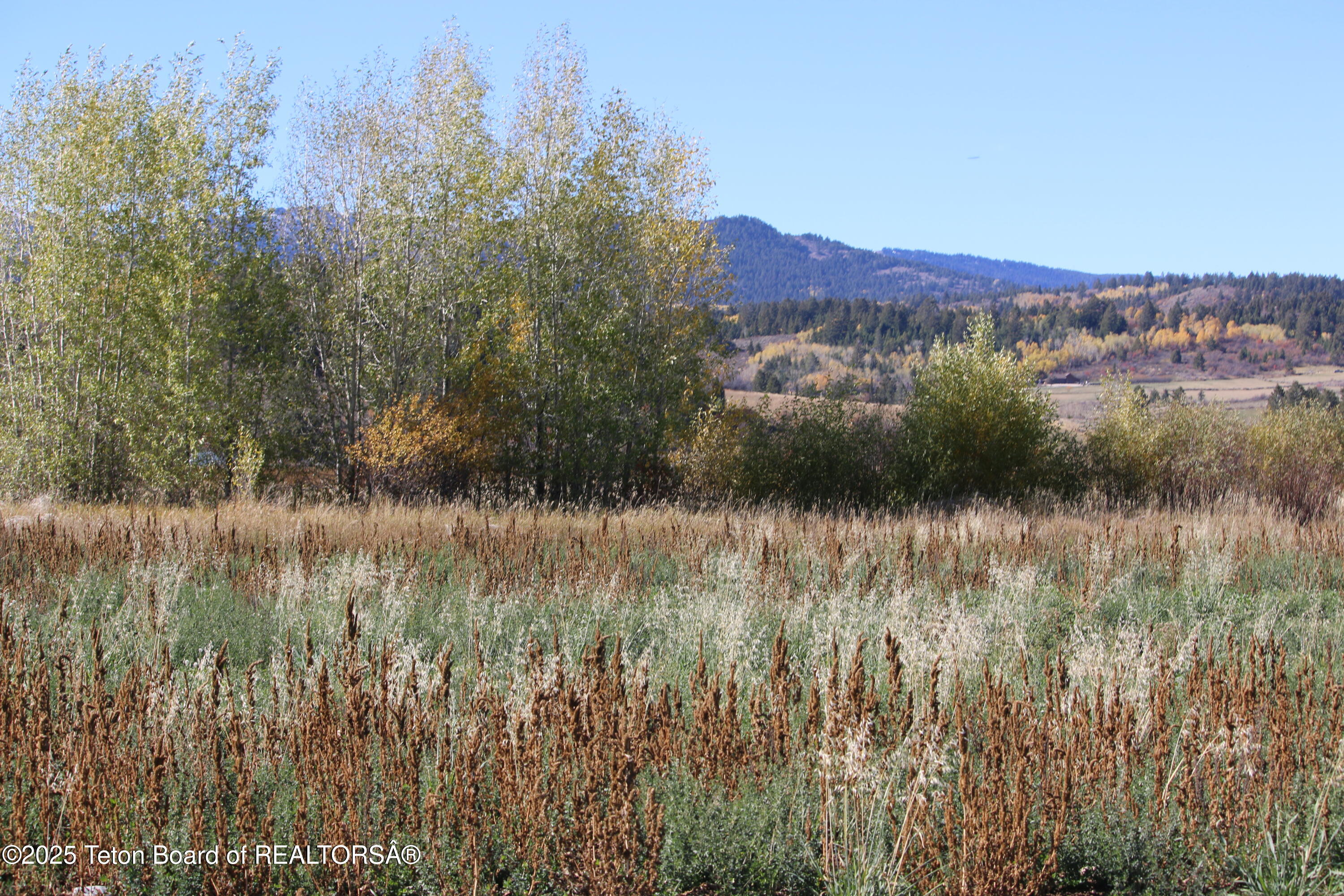 5000 South 5000 West Driggs, ID 83422 - Photo 18 of 23 IMG_3715