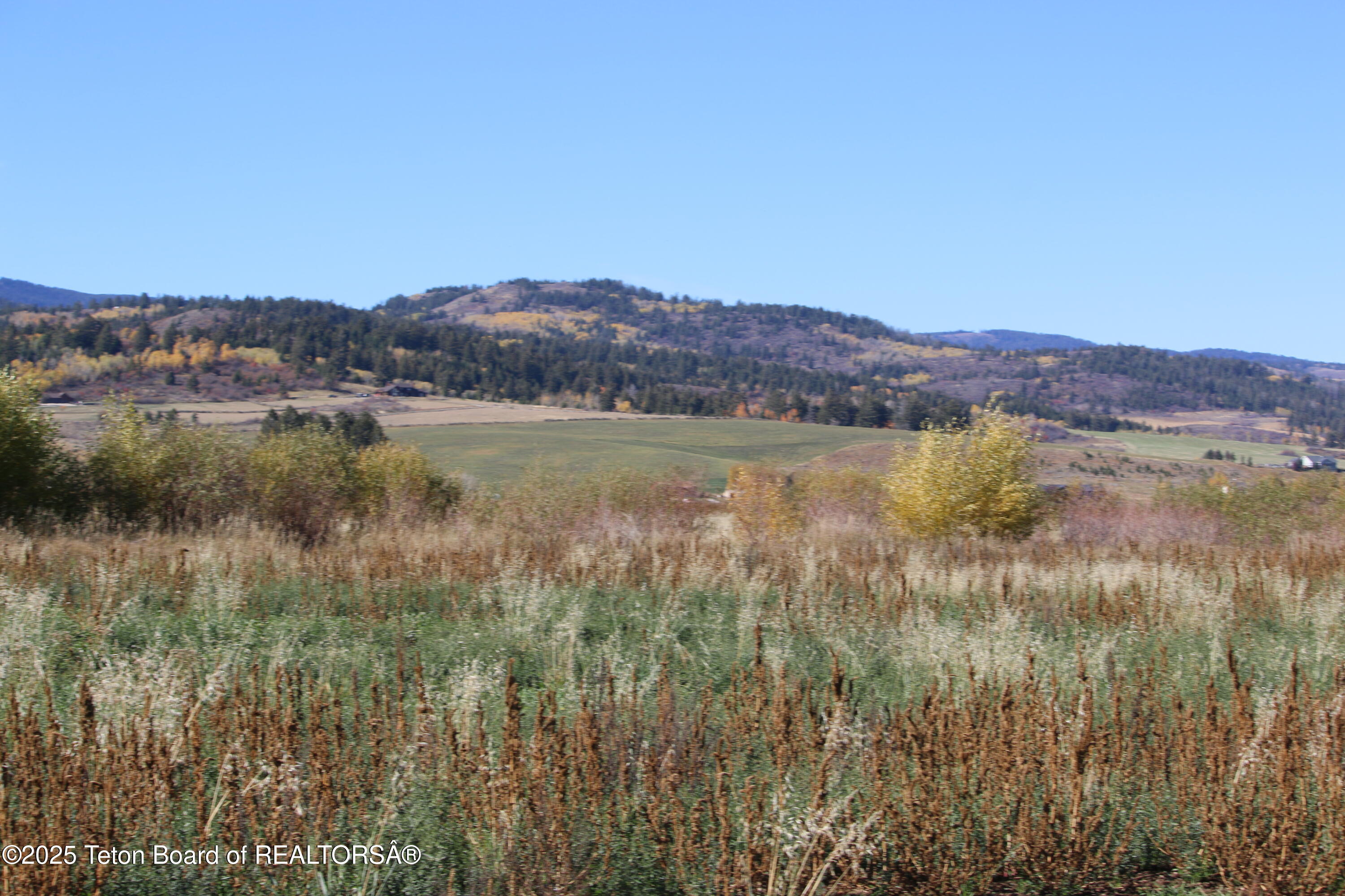 5000 South 5000 West Driggs, ID 83422 - Photo 19 of 23 IMG_3716