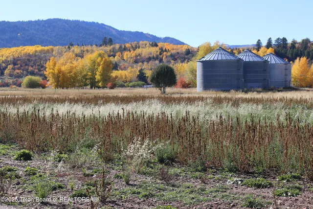 $599,000 | 5000 South 5000 West, Driggs, ID 83422