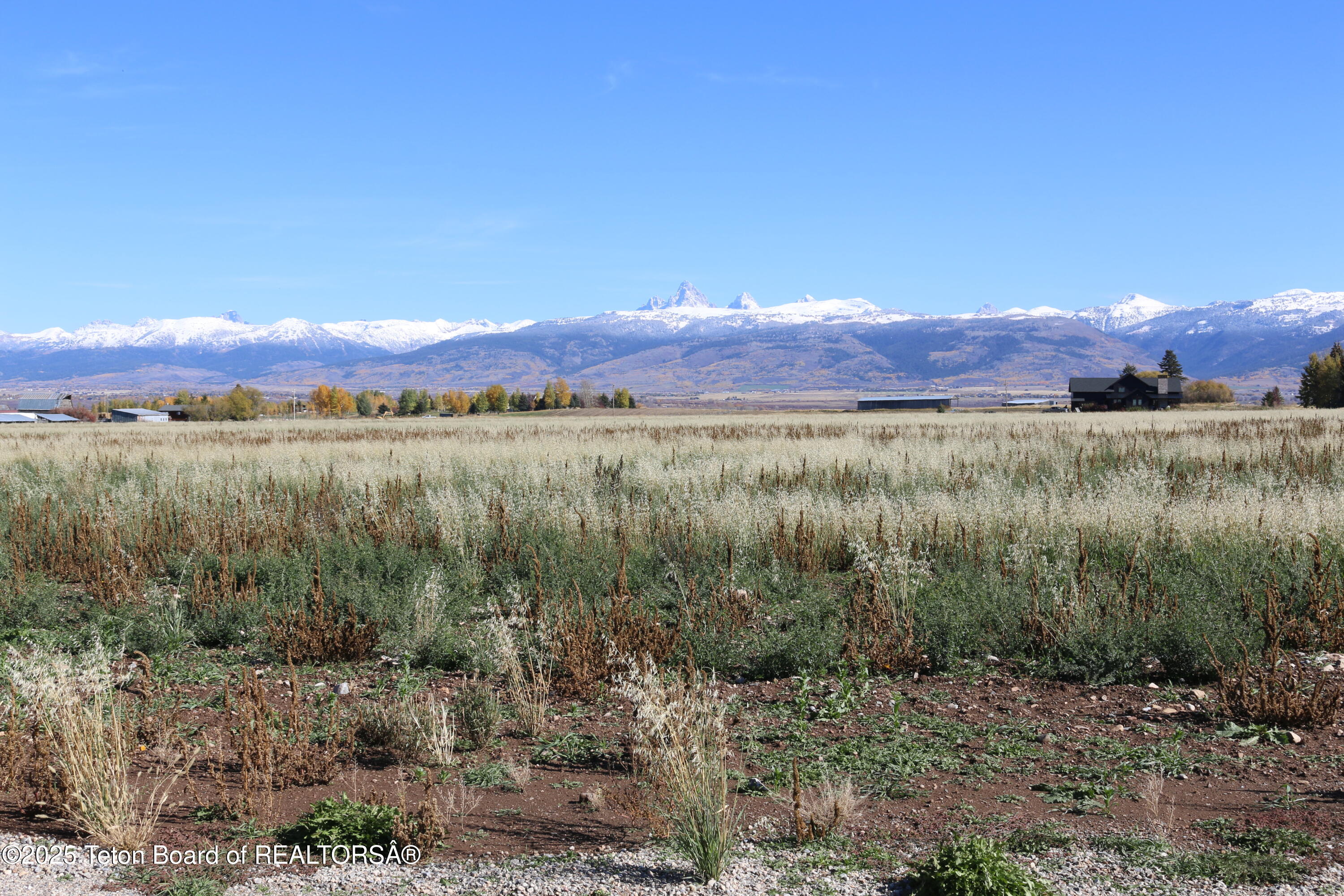 5000 South 5000 West Driggs, ID 83422 - Photo 21 of 23 IMG_3724