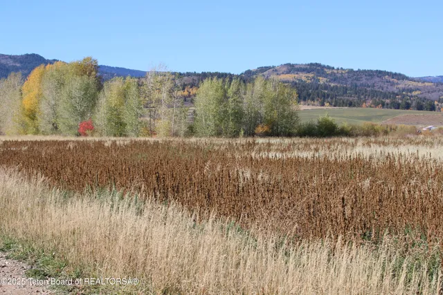 $599,000 | 5000 South 5000 West, Driggs, ID 83422