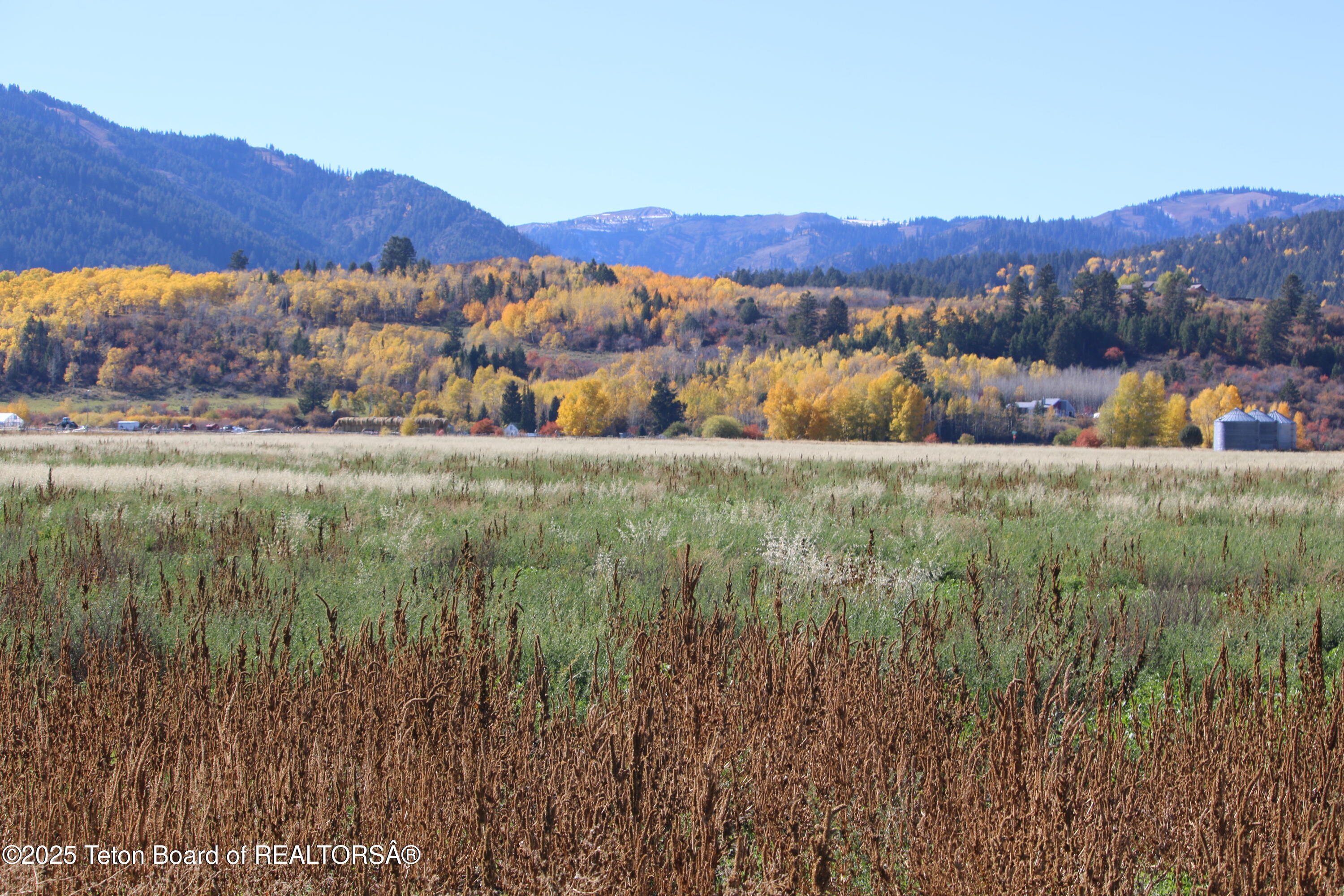 5000 South 5000 West Driggs, ID 83422 - Photo 6 of 23 IMG_3678