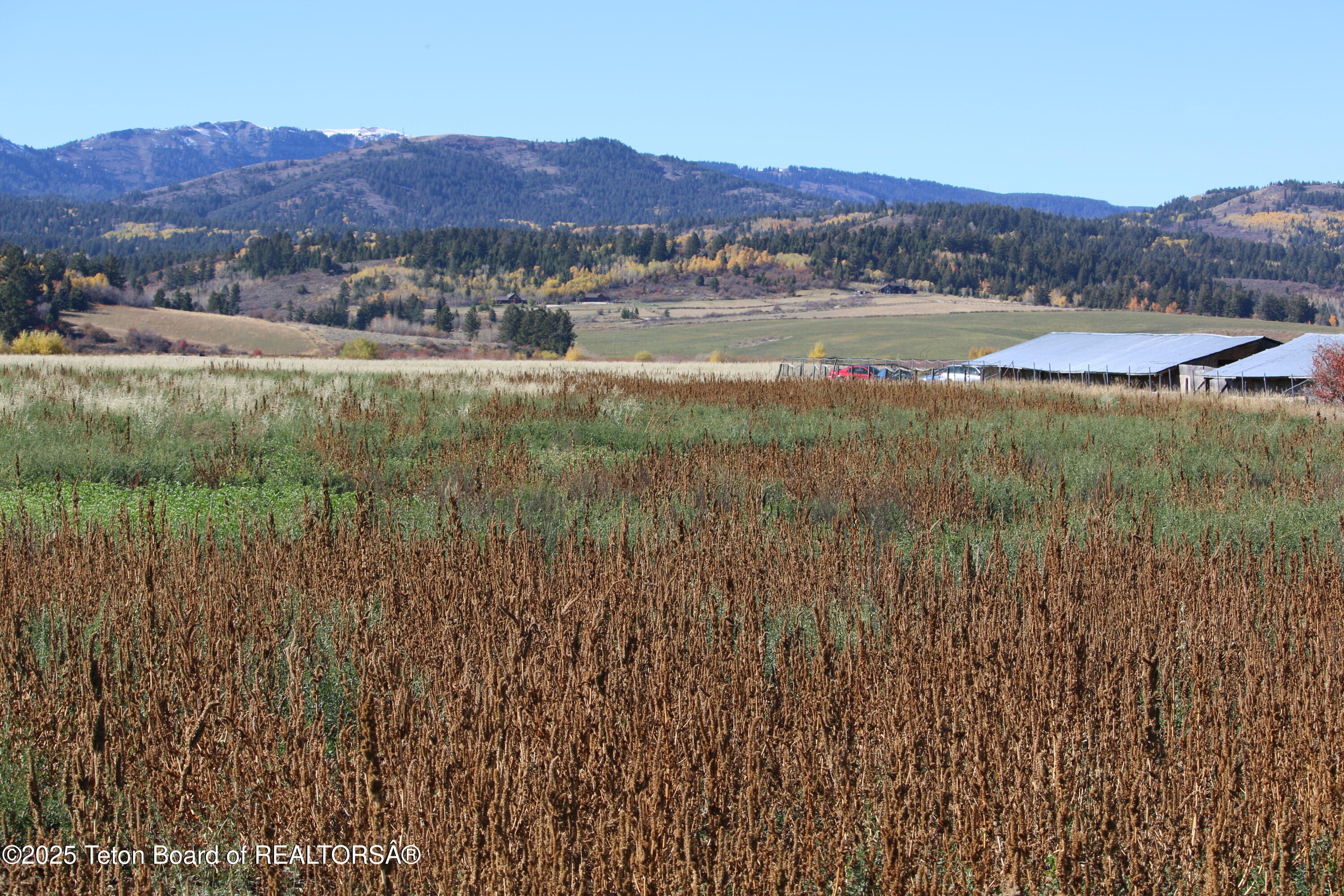 5000 South 5000 West Driggs, ID 83422 - Photo 7 of 23 IMG_3680