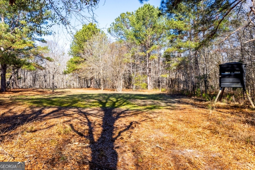 0 Crooked Road, Unit TRACT 1 Millen, GA 30442 - Photo 22 of 33
