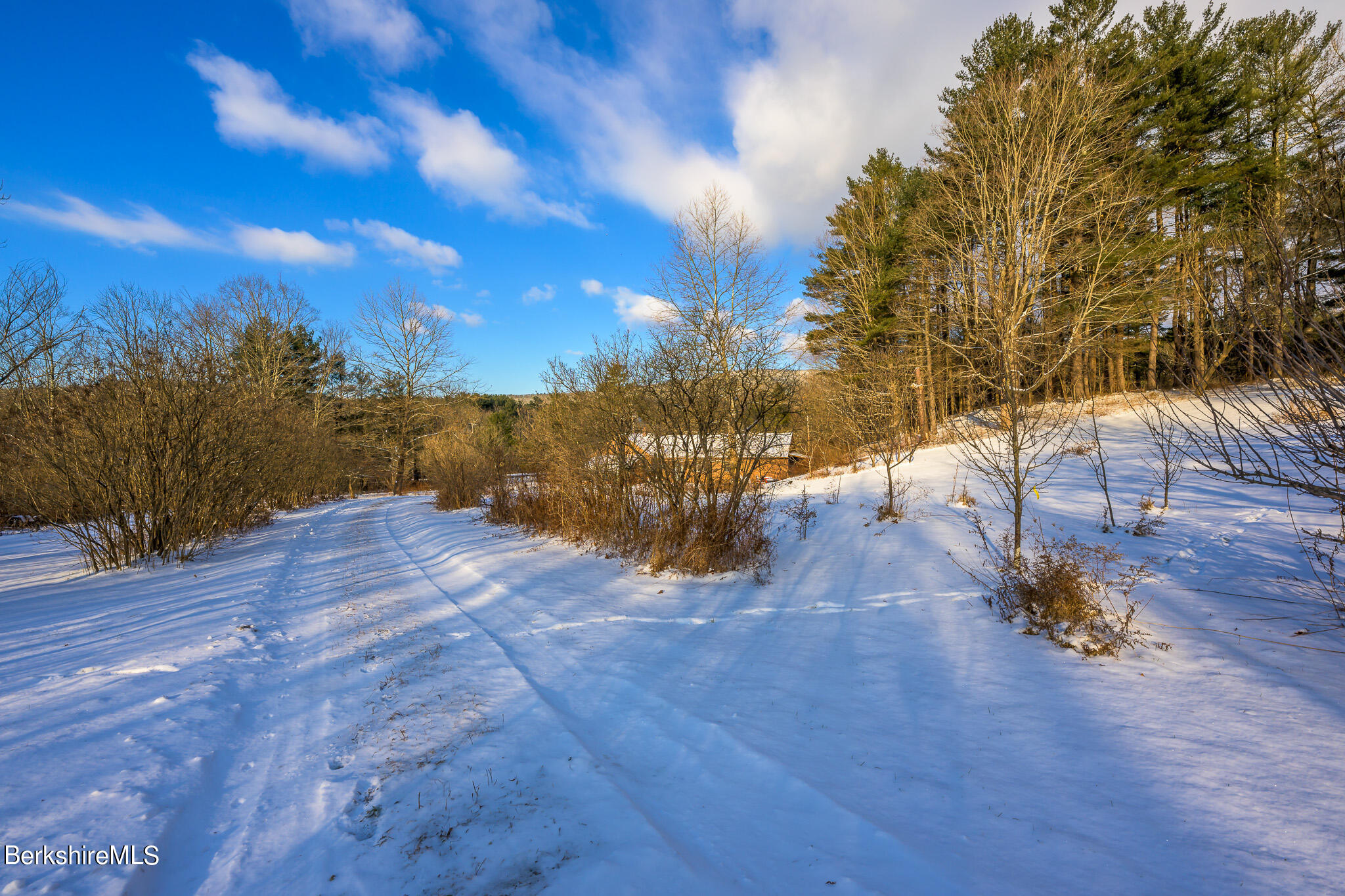 14 Interlaken Road Stockbridge, MA 01266 - Photo 26 of 26 a view of a yard