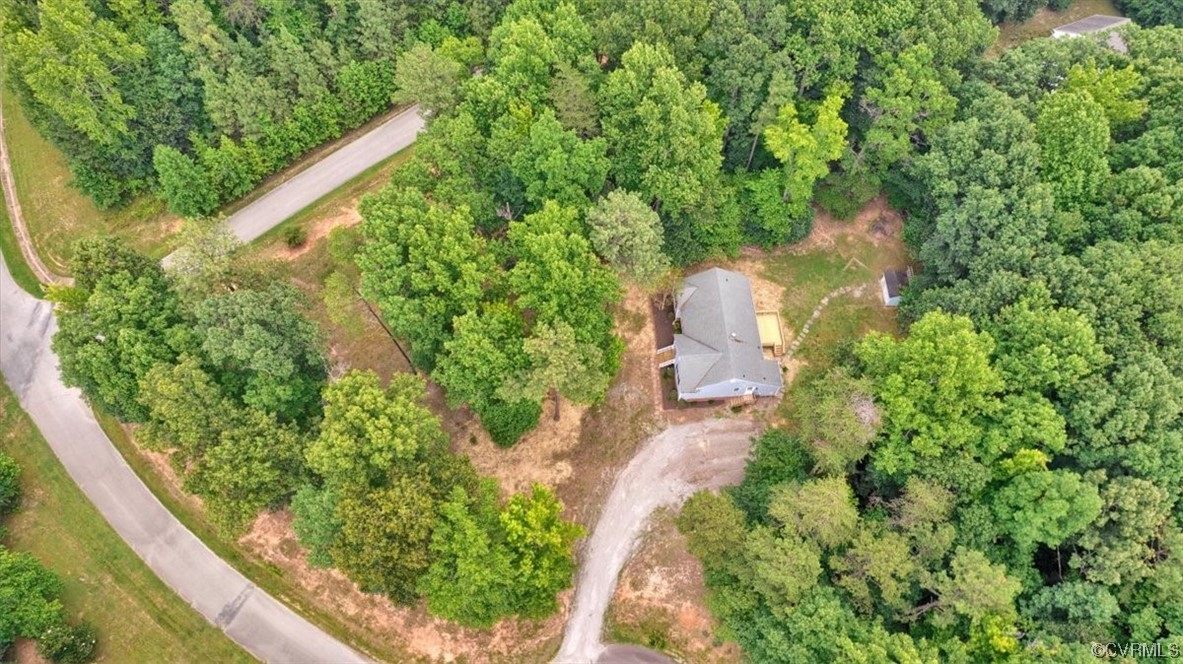 2020 Lone Ridge Drive Powhatan, VA 23139 - Photo 41 of 48 a view of a garden with plants