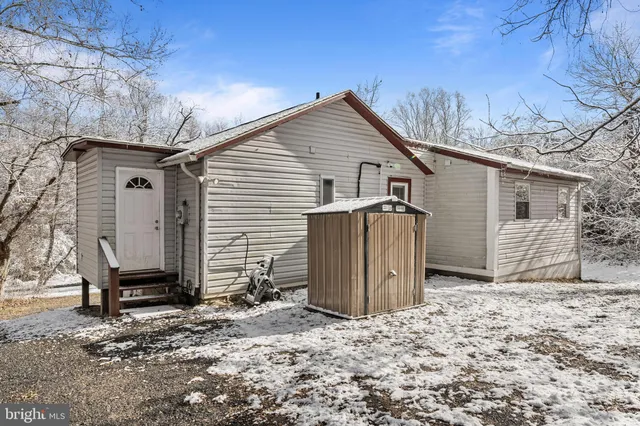 a view of a backyard with large trees