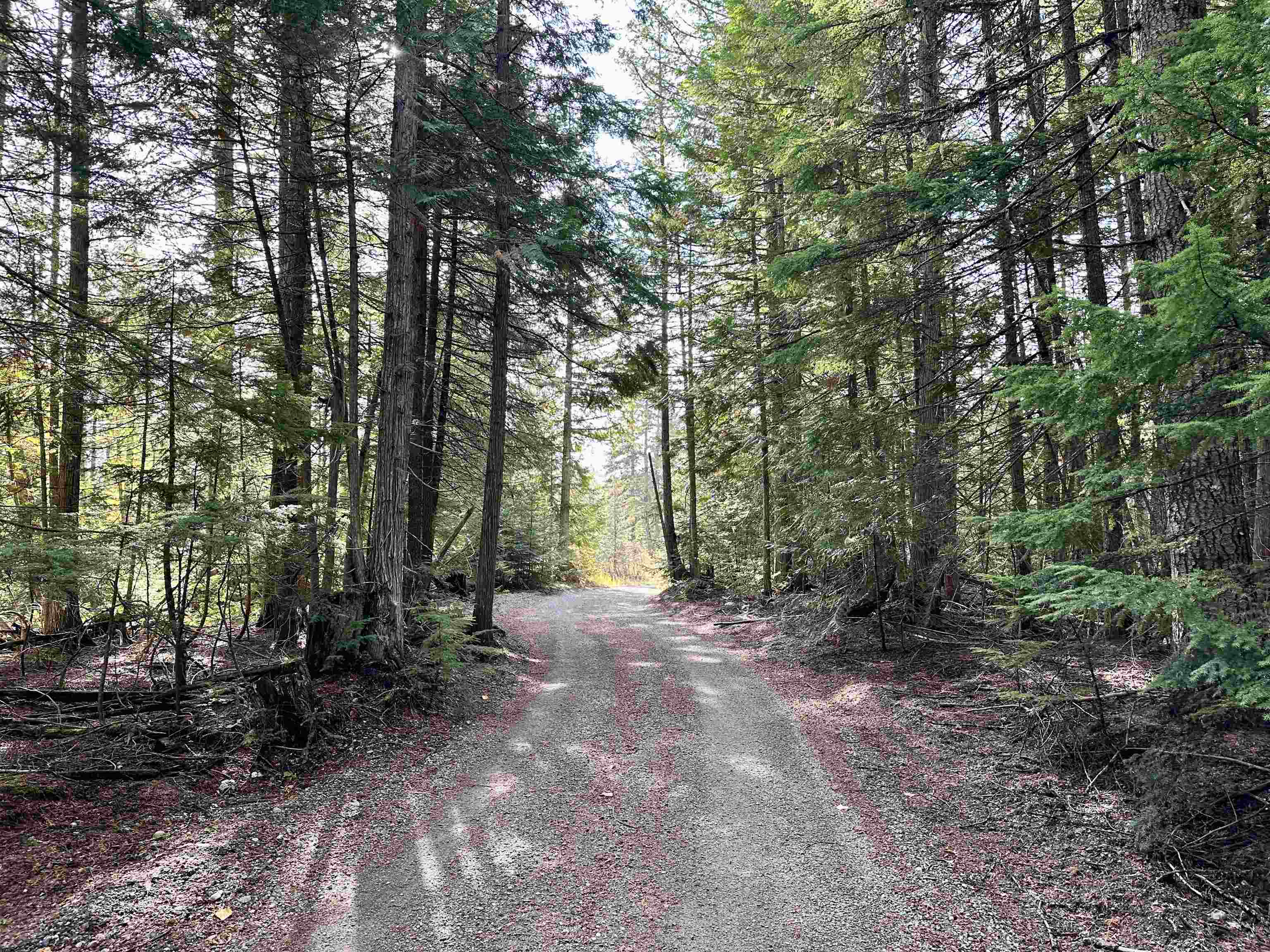 281 Four Dog Lane Cusick, WA 99119 - Photo 23 of 37