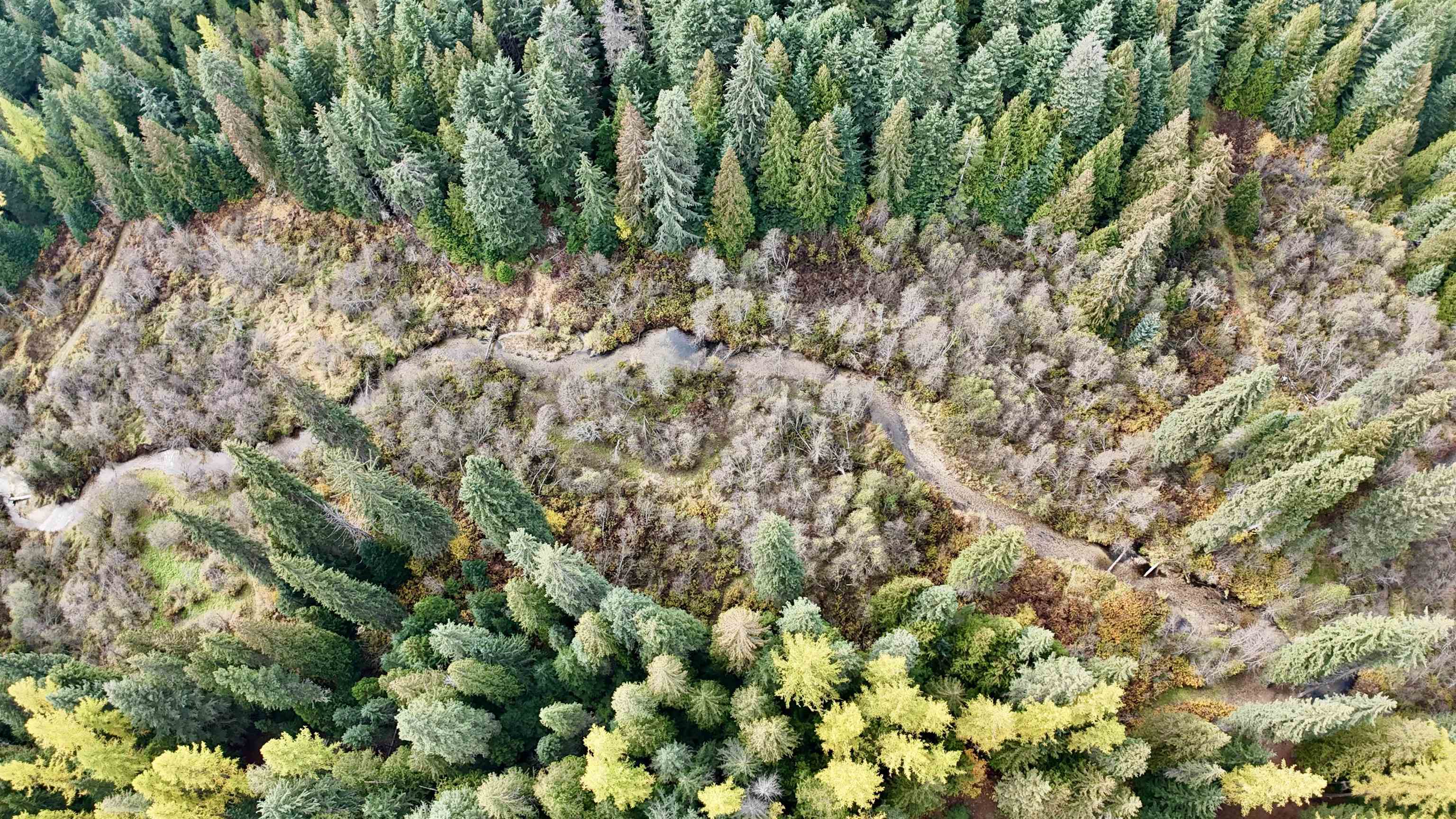 281 Four Dog Lane Cusick, WA 99119 - Photo 28 of 37