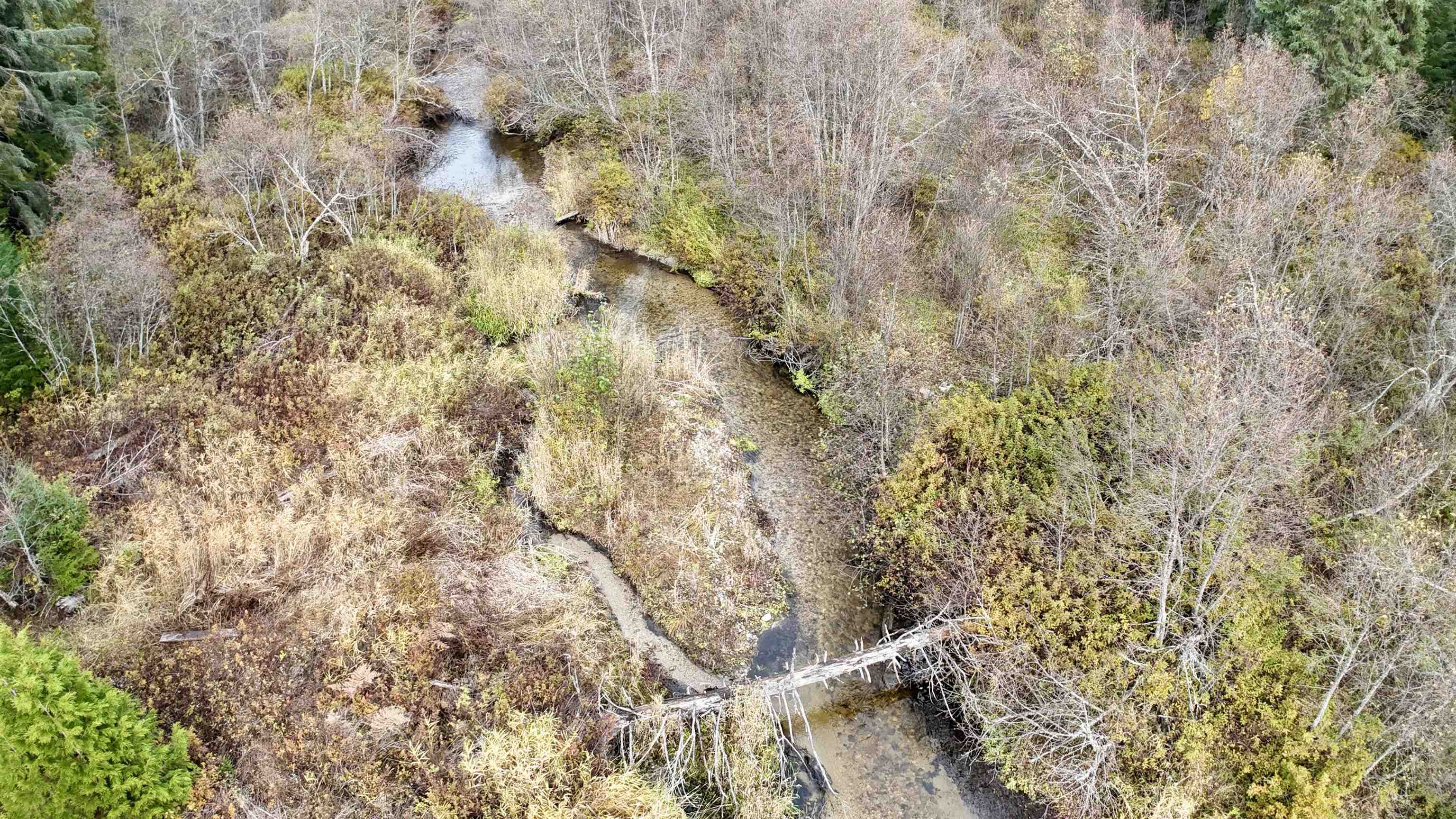 281 Four Dog Lane Cusick, WA 99119 - Photo 29 of 37