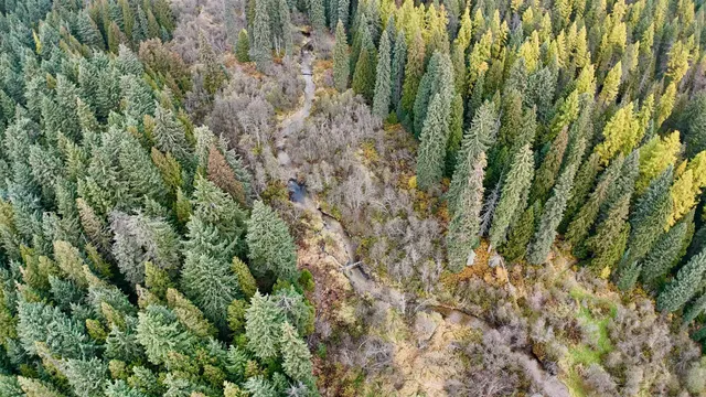 $349,000 | 281 Four Dog Lane, Cusick, WA 99119