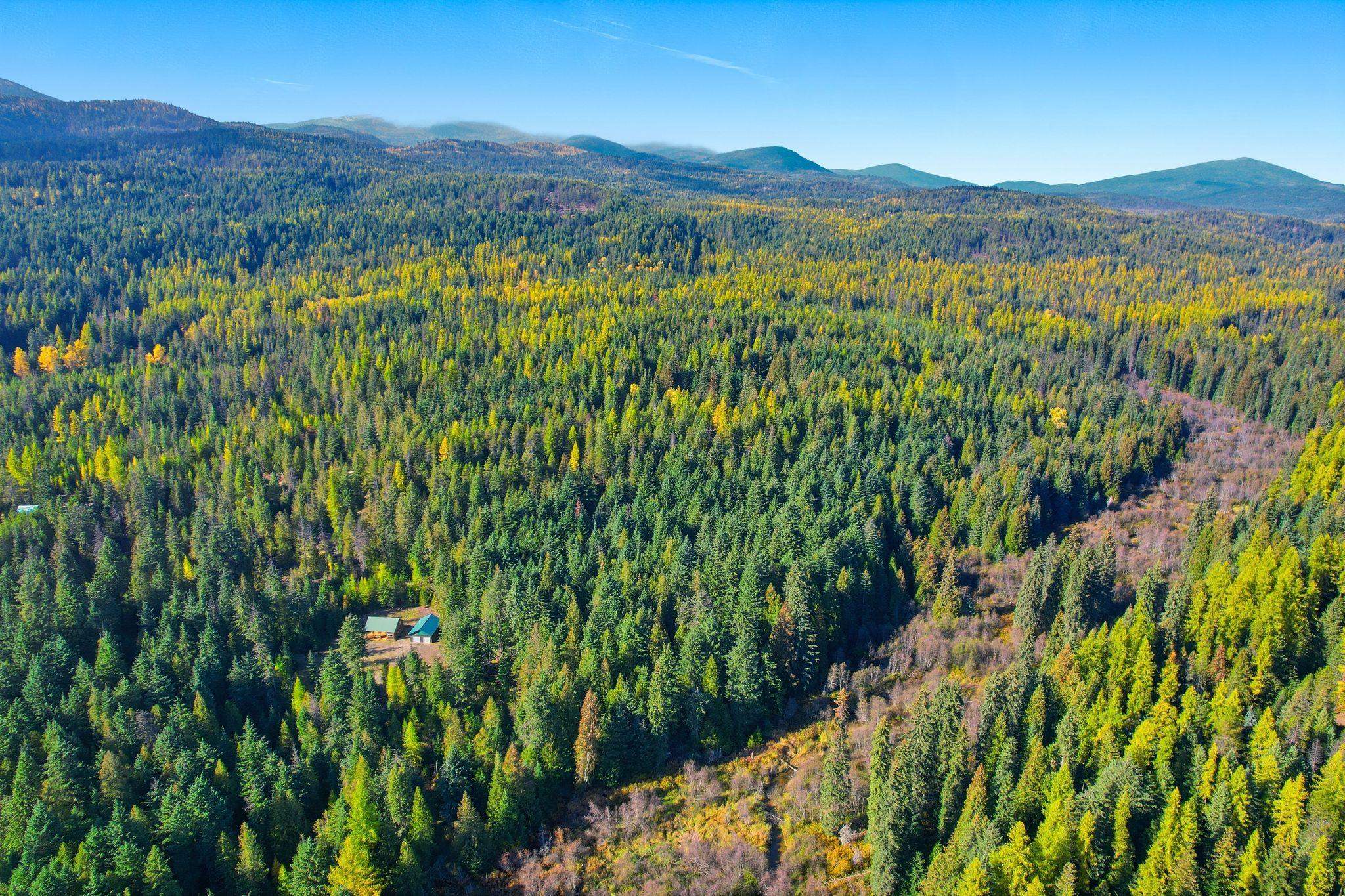 281 Four Dog Lane Cusick, WA 99119 - Photo 31 of 37