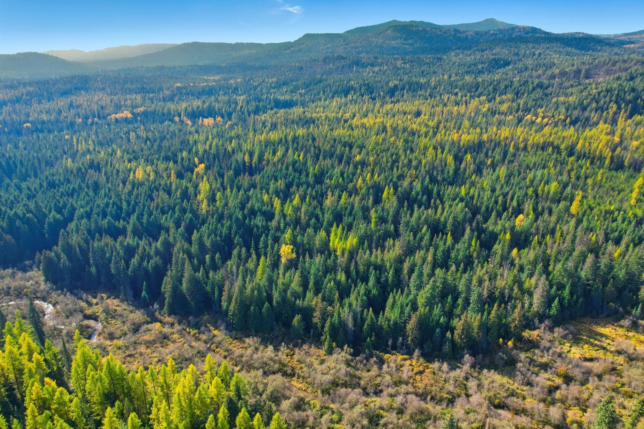 281 Four Dog Lane Cusick, WA 99119 - Photo 34 of 37