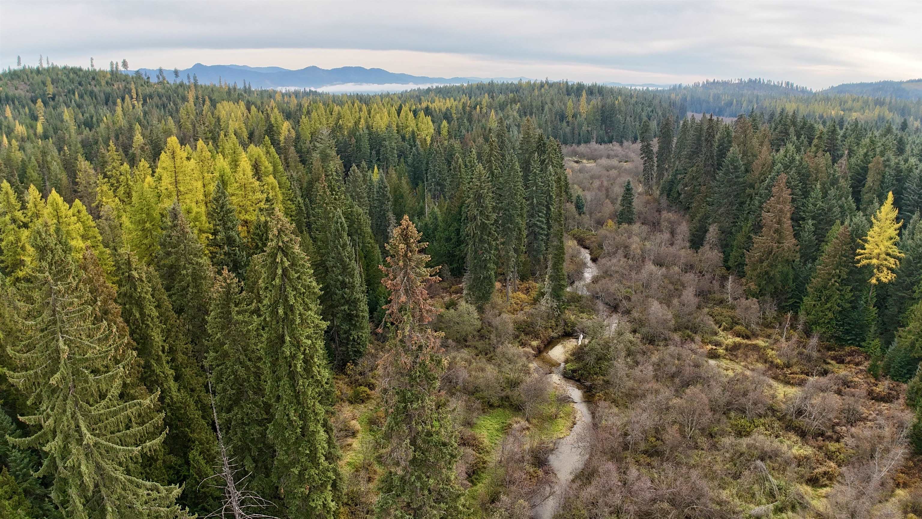 281 Four Dog Lane Cusick, WA 99119 - Photo 35 of 37