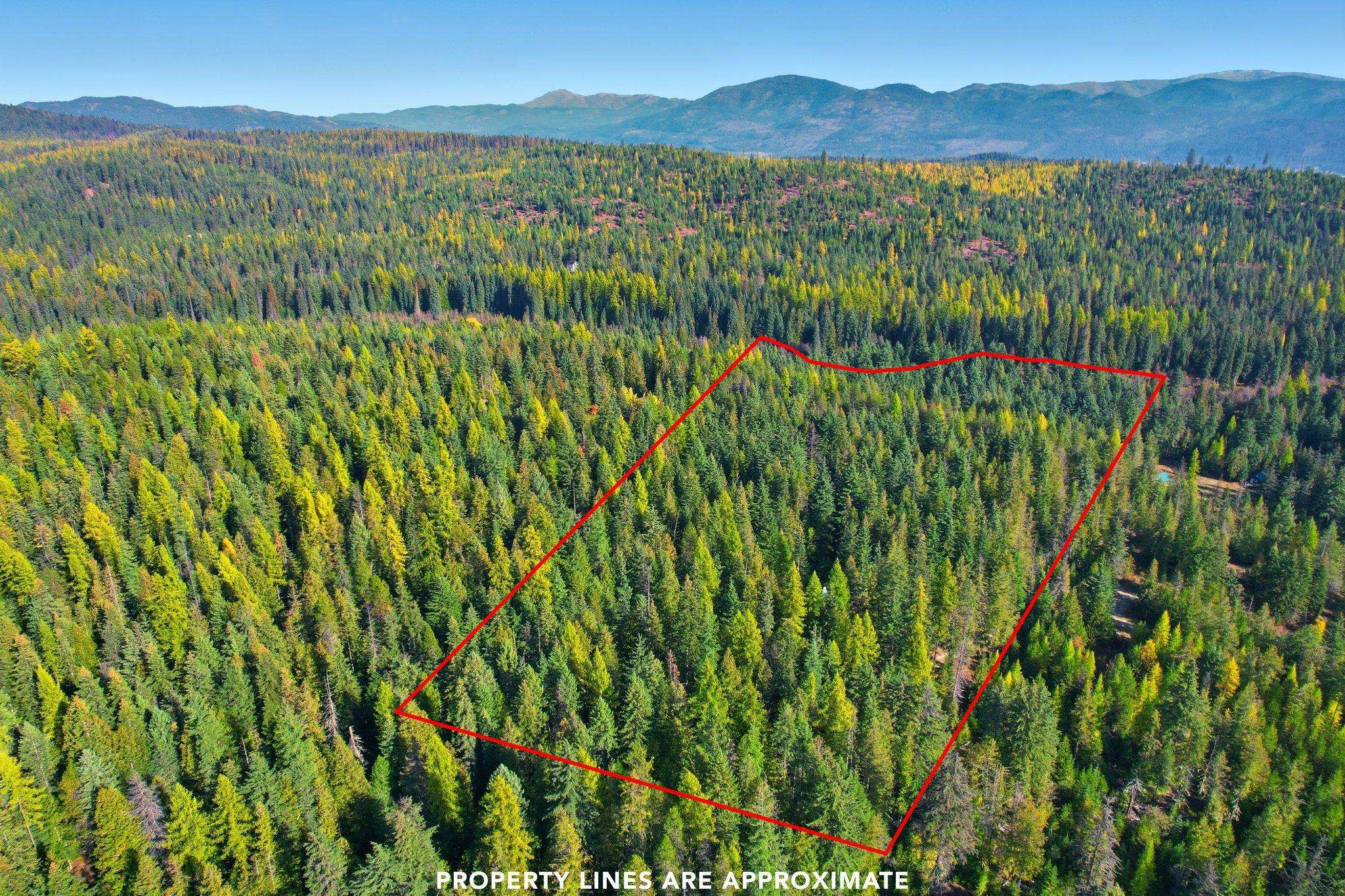 281 Four Dog Lane Cusick, WA 99119 - Photo 37 of 37