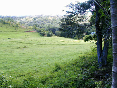 20 Koolau Road, Unit A Kilauea, HI 96754 - Photo 1 of 5 Gallery Image 1