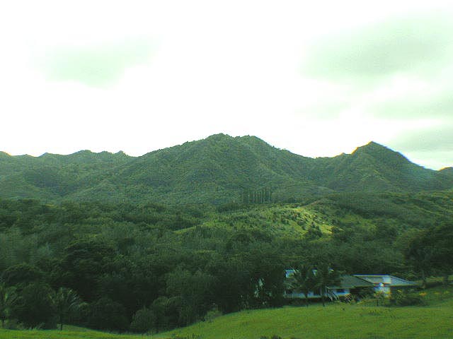 20 Koolau Road, Unit A Kilauea, HI 96754 - Photo 2 of 5 Gallery Image 2