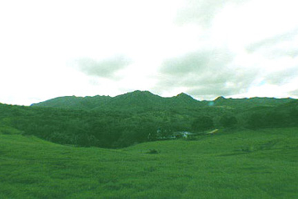 20 Koolau Road, Unit A Kilauea, HI 96754 - Photo 5 of 5 Gallery Image 5
