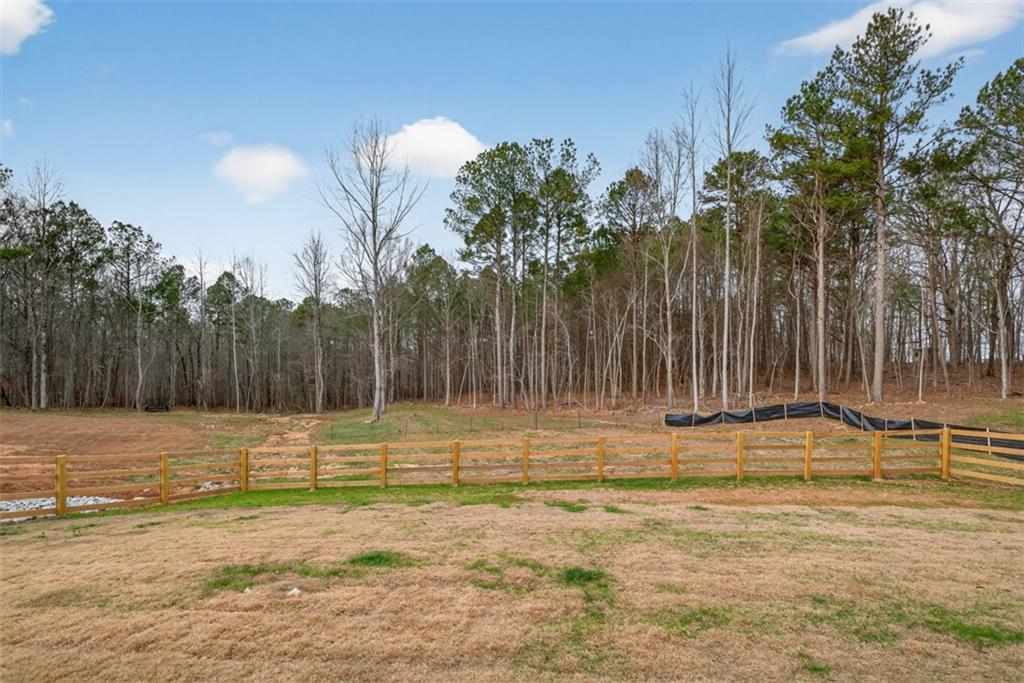 311 Rockwell Church Road Northwest Winder, GA 30680 - Photo 54 of 55 a view of a yard with palm trees