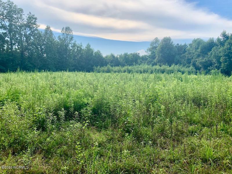 0 Simmons Road Castalia, NC 27816 - Photo 1 of 38 Ground