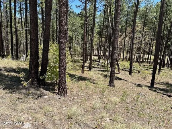 $82,000 | N2122 N2122, Alpine, AZ 85920