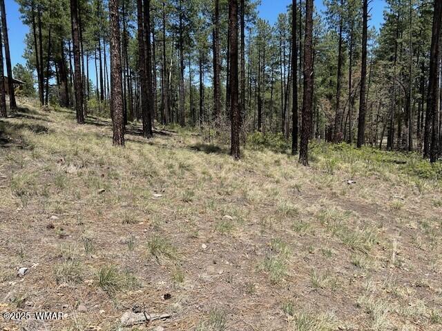 N2122 N2122 Alpine, AZ 85920 - Photo 2 of 6 Natural opening
