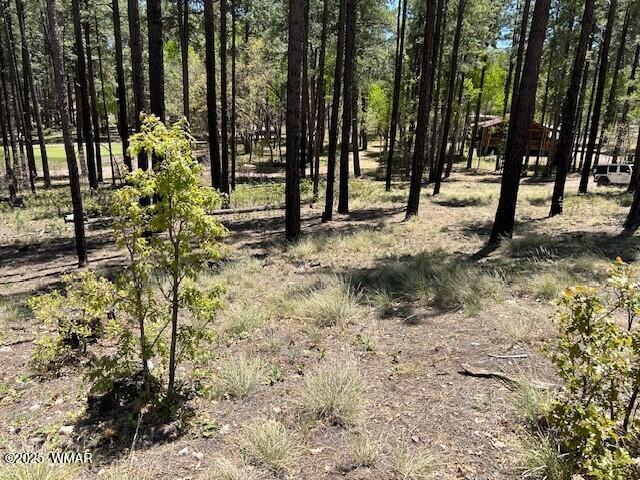 N2122 N2122 Alpine, AZ 85920 - Photo 3 of 6 0003