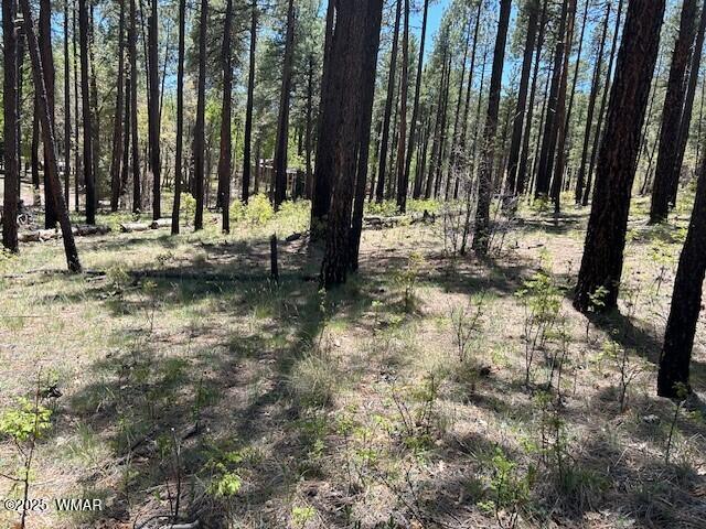 N2122 N2122 Alpine, AZ 85920 - Photo 4 of 6 0004