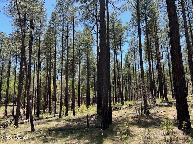 N2122 N2122 Alpine, AZ 85920 - Photo 5 of 6 0006