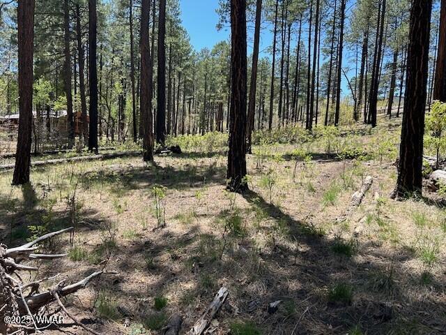N2122 N2122 Alpine, AZ 85920 - Photo 6 of 6 0007