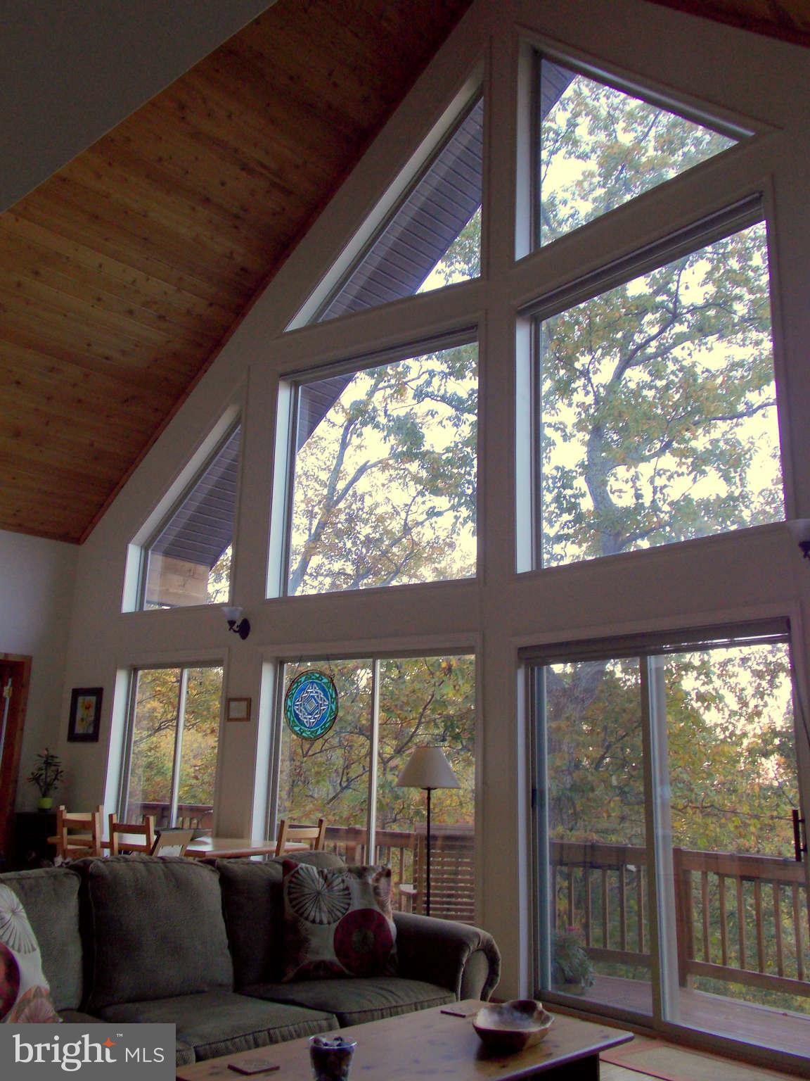 169 Boulder Road Front Royal, VA 22630 - Photo 11 of 30 Windows provide wonderful natural light & views