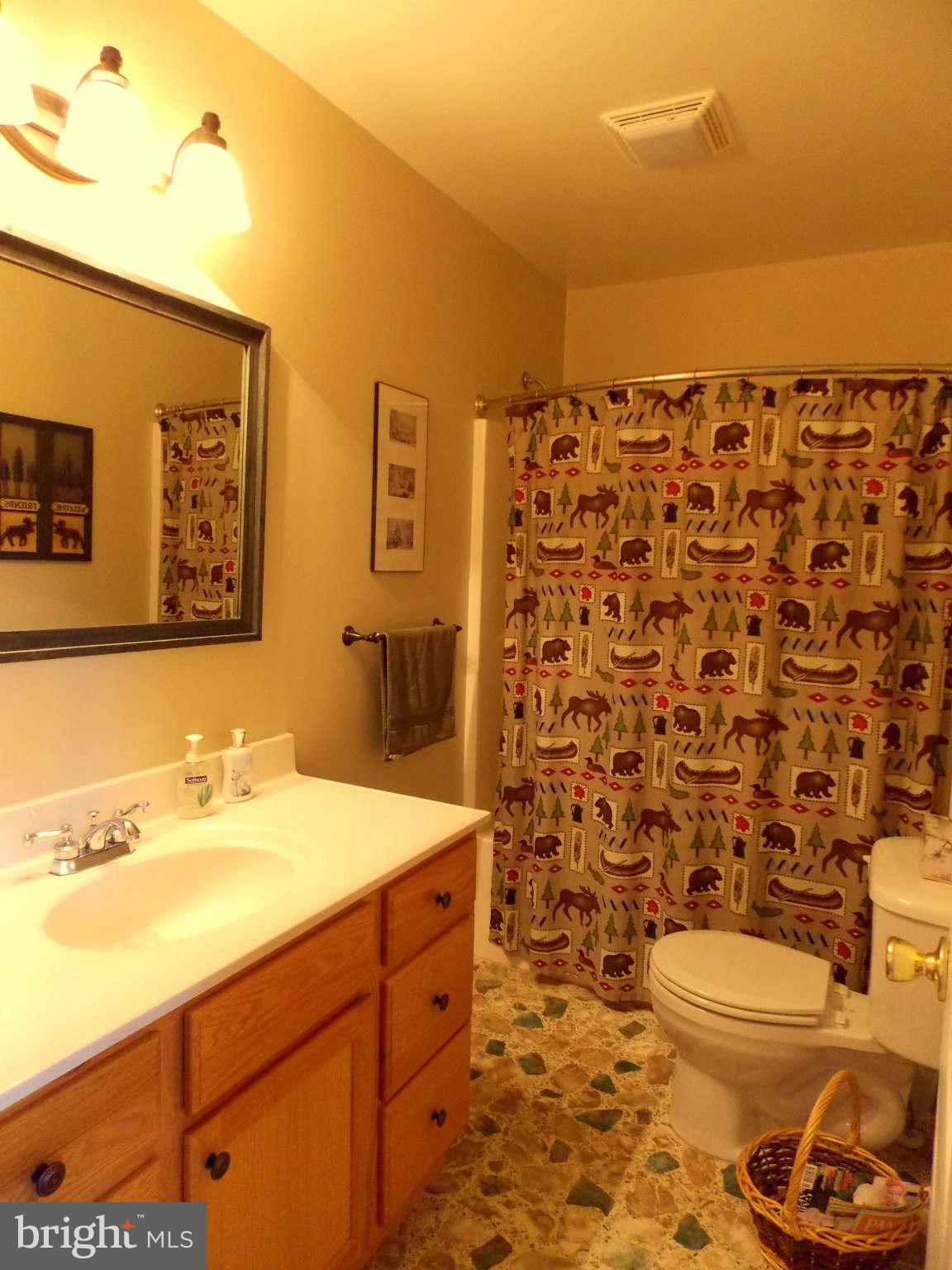 169 Boulder Road Front Royal, VA 22630 - Photo 15 of 30 Hallway Bathroom on Main Level