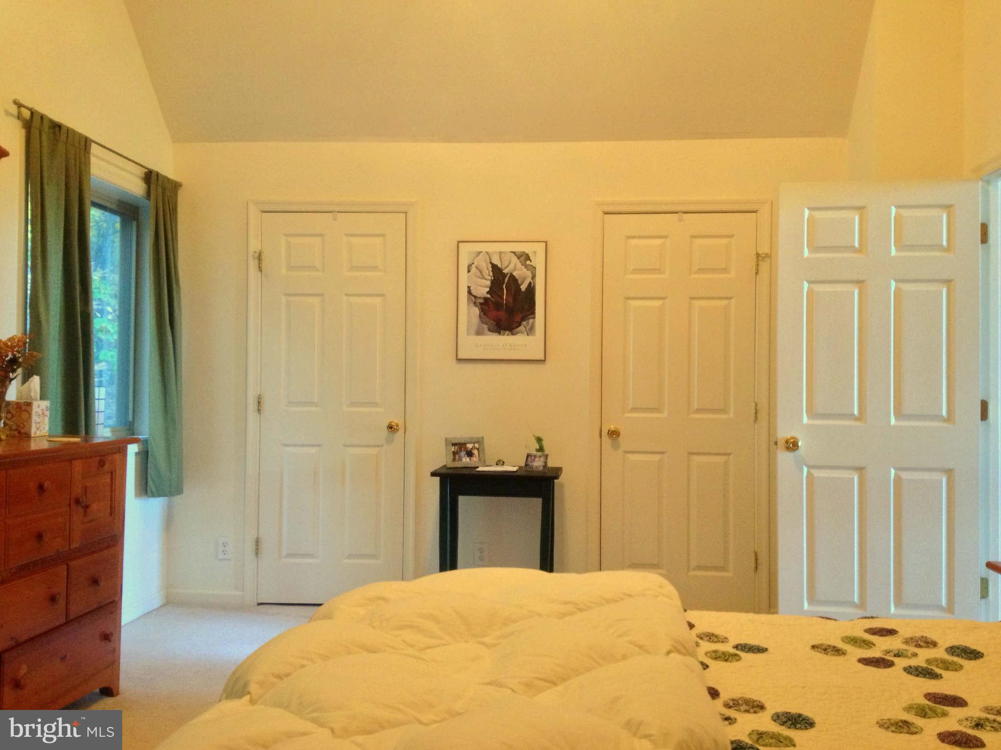 169 Boulder Road Front Royal, VA 22630 - Photo 23 of 30 Master Bedroom View #2 showing 2 separate closets