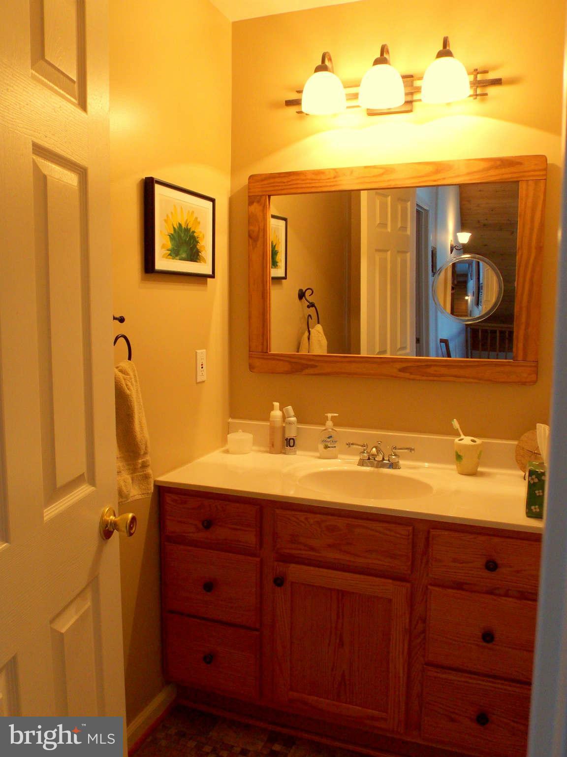 169 Boulder Road Front Royal, VA 22630 - Photo 24 of 30 Master Bathroom with Separate Sink Area