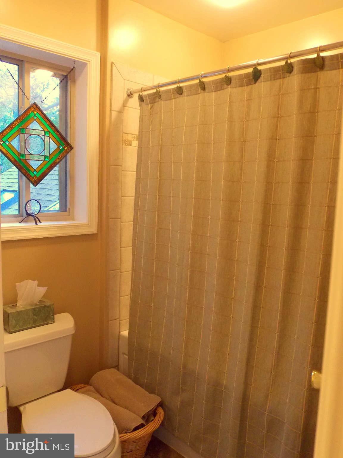 169 Boulder Road Front Royal, VA 22630 - Photo 25 of 30 Master Bathroom with Separate Tub & Toilet Room