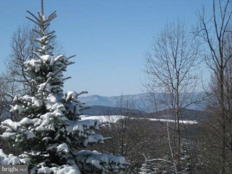 169 Boulder Road Front Royal, VA 22630 - Photo 29 of 30 View in Winter Season