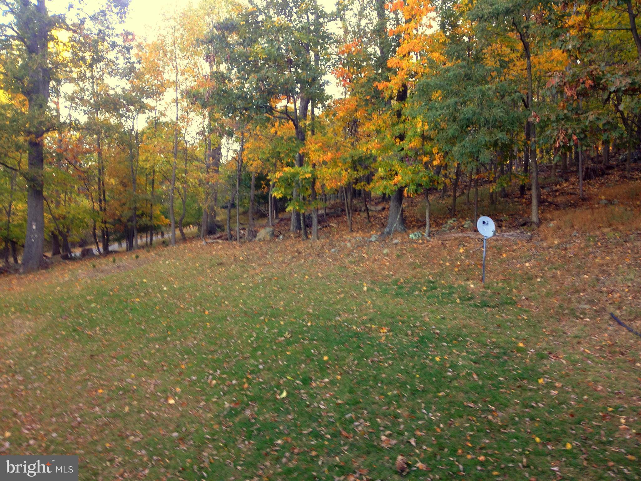 169 Boulder Road Front Royal, VA 22630 - Photo 30 of 30 Spacious Sideyard