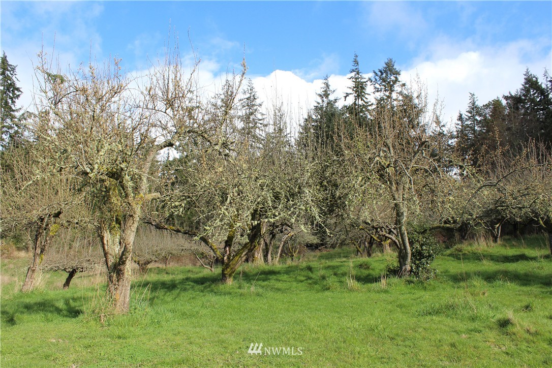 2222 Goss Ridge Road Freeland, WA 98249 - Photo 17 of 22