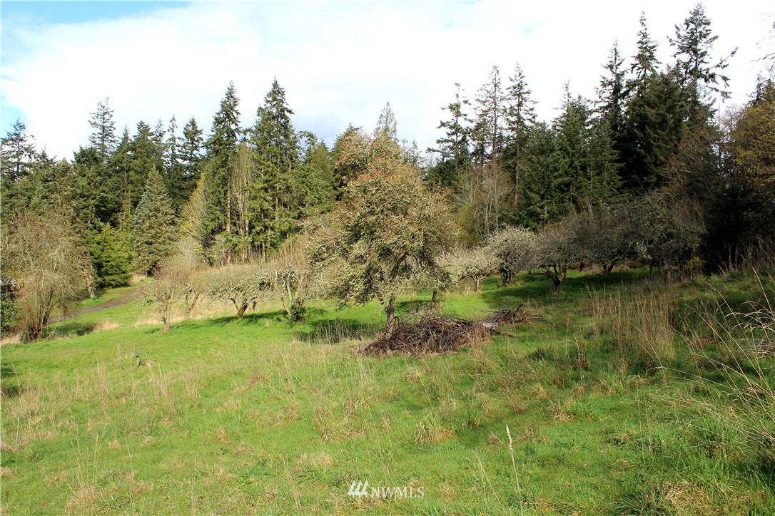 2222 Goss Ridge Road Freeland, WA 98249 - Photo 19 of 22