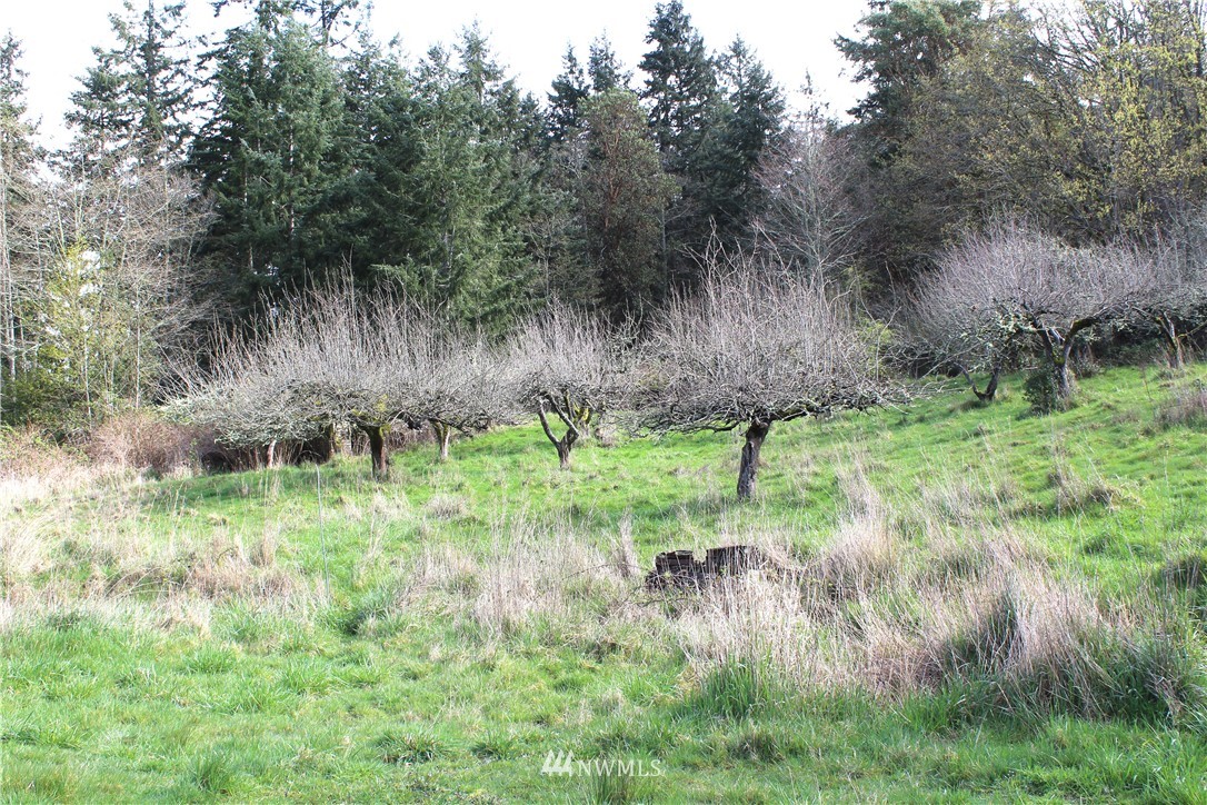 2222 Goss Ridge Road Freeland, WA 98249 - Photo 22 of 22