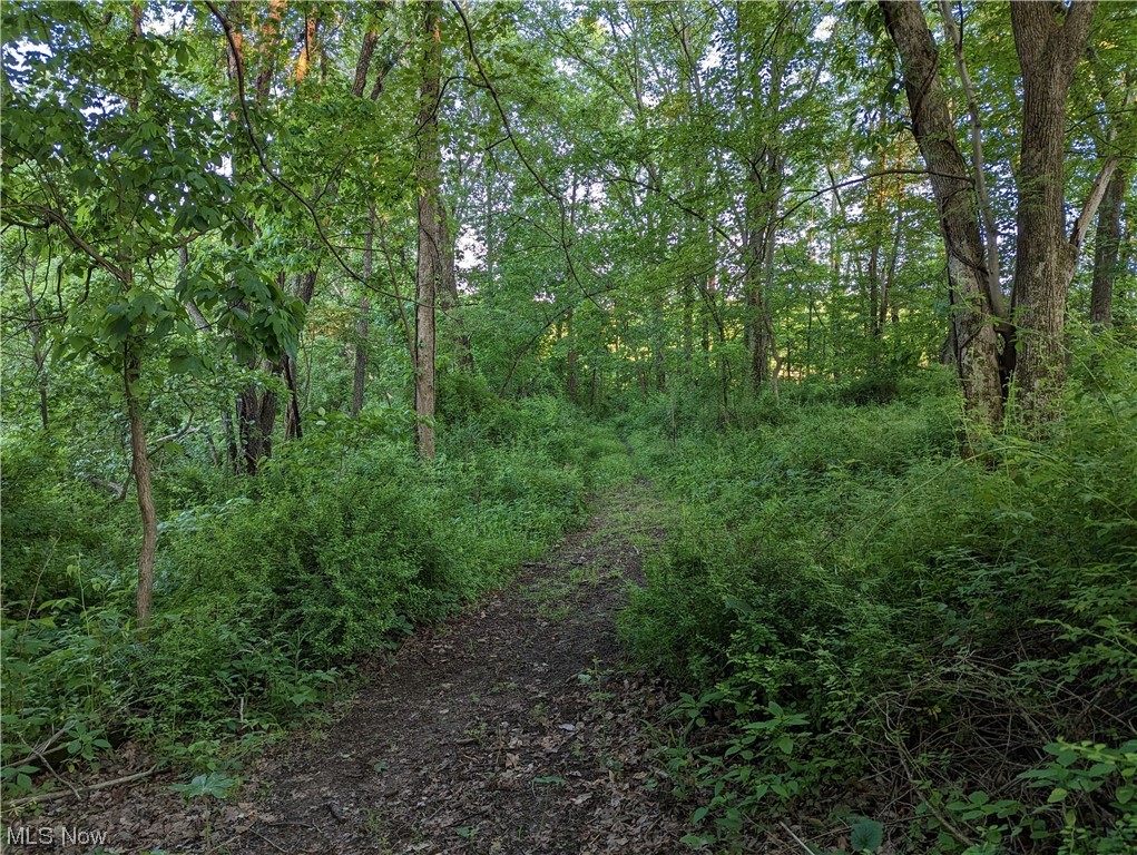 Hewitt Road Nashport, OH 43830 - Photo 27 of 32 Gallery Image 27