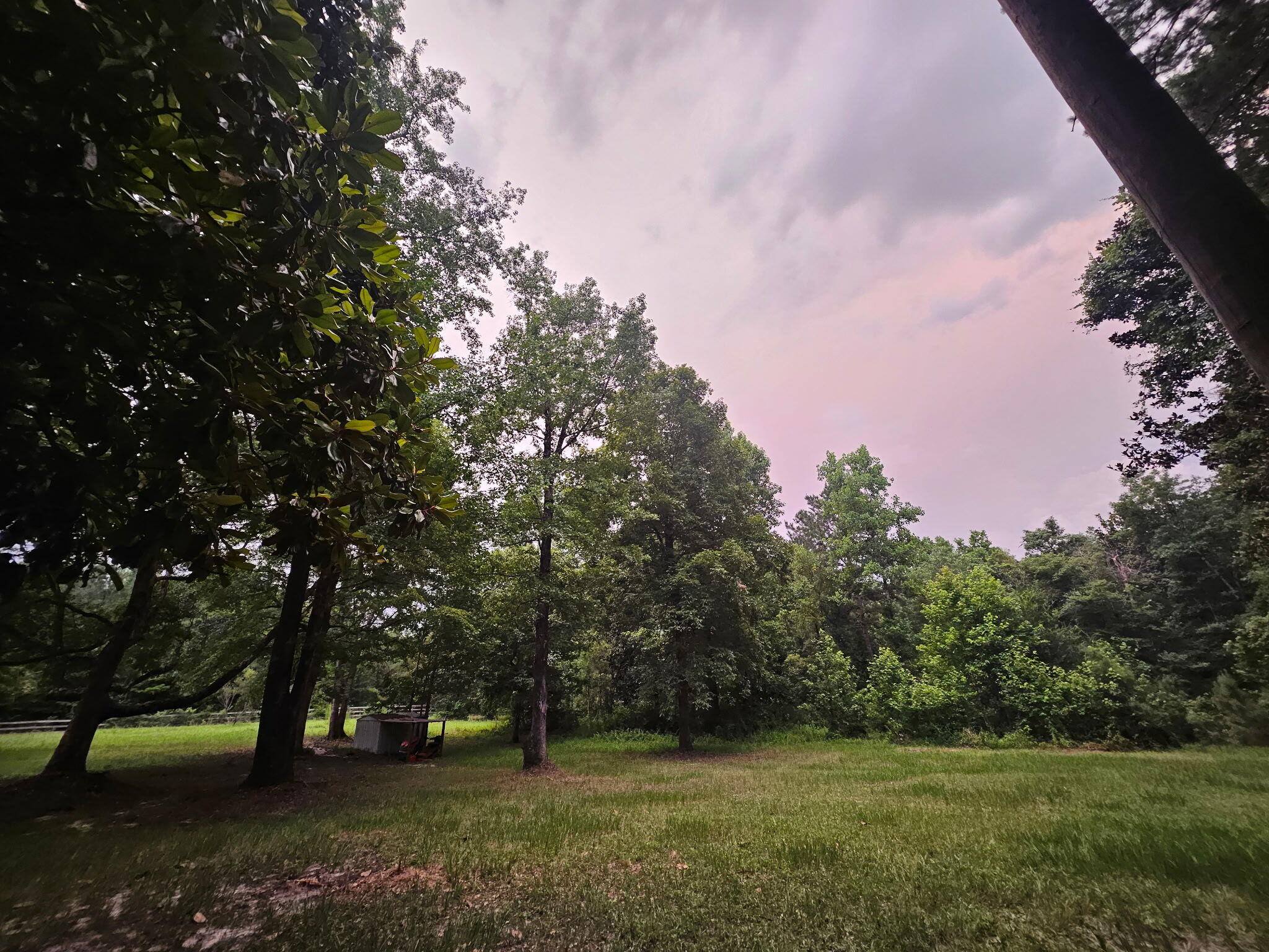 a view of outdoor space with trees