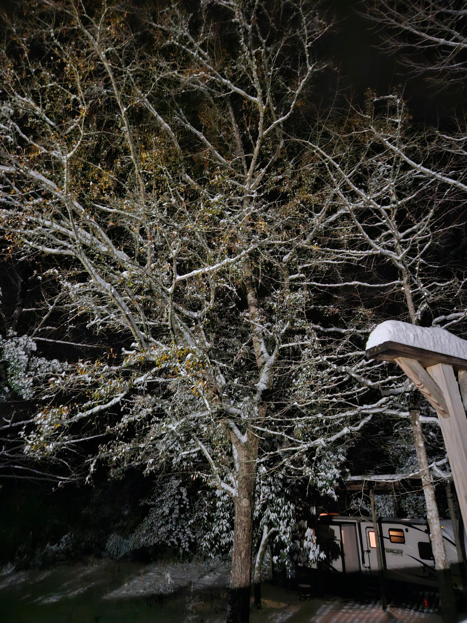 607 Hewett Road DeFuniak Springs, FL 32435 - Photo 13 of 15 Snowy evening