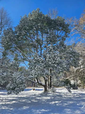 $299,900 | 607 Hewett Road, DeFuniak Springs, FL 32435