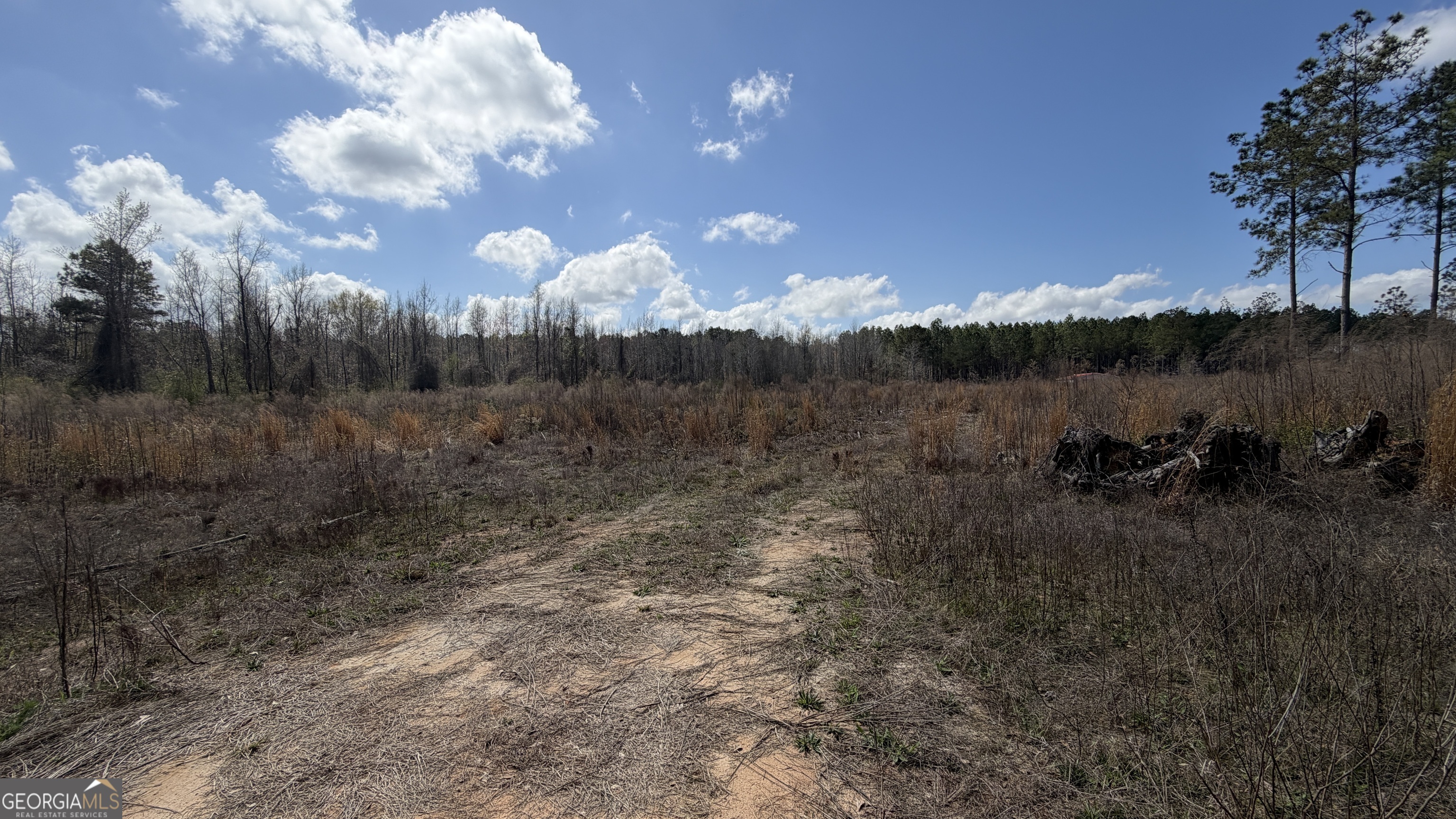 3557 Antioch Church Road Eastman, GA 31023 - Photo 1 of 2